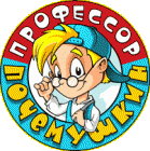 ООО ЭФФЕКТ ФИЛЬМ