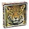 Кубики пластмассовые «Дикие кошки», 9 штук - Десятое Королевство
