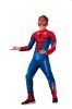 Карнавальный костюм Человек-паук